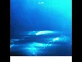 S T A R - KHAN