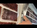 Is the Peel and Stick 3D Faux Brick Wallpaper Worth it