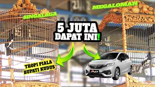 Download Kacer SINGALAGA Keok 🤣🤣🤣MEGALOMAN Bawa Pulang HONDA JAZZ || Piala Bupati Kudus 2022 MP3