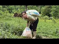 Download Lagu A 17 year old girl builds a new life alone, living with nature, daily life