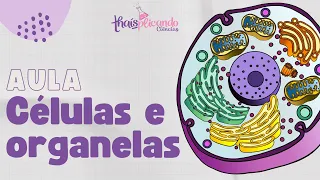 Entendendo tudo sobre as CÉLULAS e as organelas - 6º ano