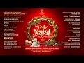 Vários artistas - Feliz Natal - Portugal 2025 (Full album)
