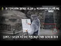 Download Lagu Ditemukan Lafadz ALLAH \u0026 MUHAMMAD di Patung BOROBUDUR