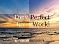 Download Lagu Tony Igy - Perfect World (DJ Valeriano Remix)