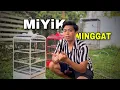 Lagu Mengatasi Cendet miyik dengan cepat
