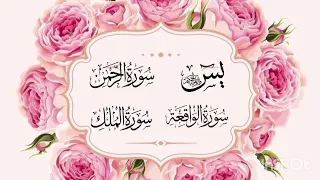 سور الرزق أجمل تلاوة هادئة بصوت سعد الغامدي سورةياسين الرحمان الواقعة الملك قرآن تلاوةخاشعة 