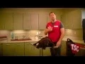 How to Treat Minor Pet Injuries Tractor Supply Co