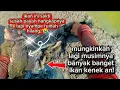 Download Lagu HARUSKAH kumenangis bahagia ataukah tersenyum kecut ketika kudapatkan ikan yang gede🤔😁✌