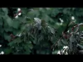 Evil Needle - Slow Down