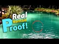 Top 20 Real Mermaid Sightings Caught on Camera Unbelievable Encounters from Around the World