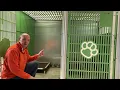 Dog Boarding Options at Jagger s Doggie Daycare in Mount Vernon Illinois