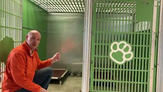 Dog Boarding Options at Jagger s Doggie Daycare in Mount Vernon Illinois