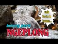 Download Lagu GACOR NGEPLONG, suara air terapi burung auto rajin berkicau, terapi air