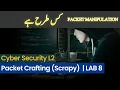 Cybersecurity Level 3 LAB 8 Packet Crafting with Scapy