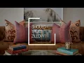 FAQ - Should I Trust Zillow Crested Butte Real Estate