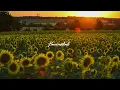 Franky Wah x AR/CO - Under The Sun (SHÈN Sunset Mix)