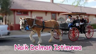 Download Naik Delman Istimewa ~ Lagu Anak Terpopuler MP3