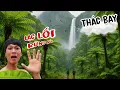 Download Lagu Lạc vào khu rừng với những sinh vật xuất hiện từ thời kì khủng long cổ đại | Truy tìm con Thác Bay