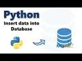 How to insert data into database in Python