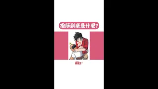 撥筋到底在撥什麼？