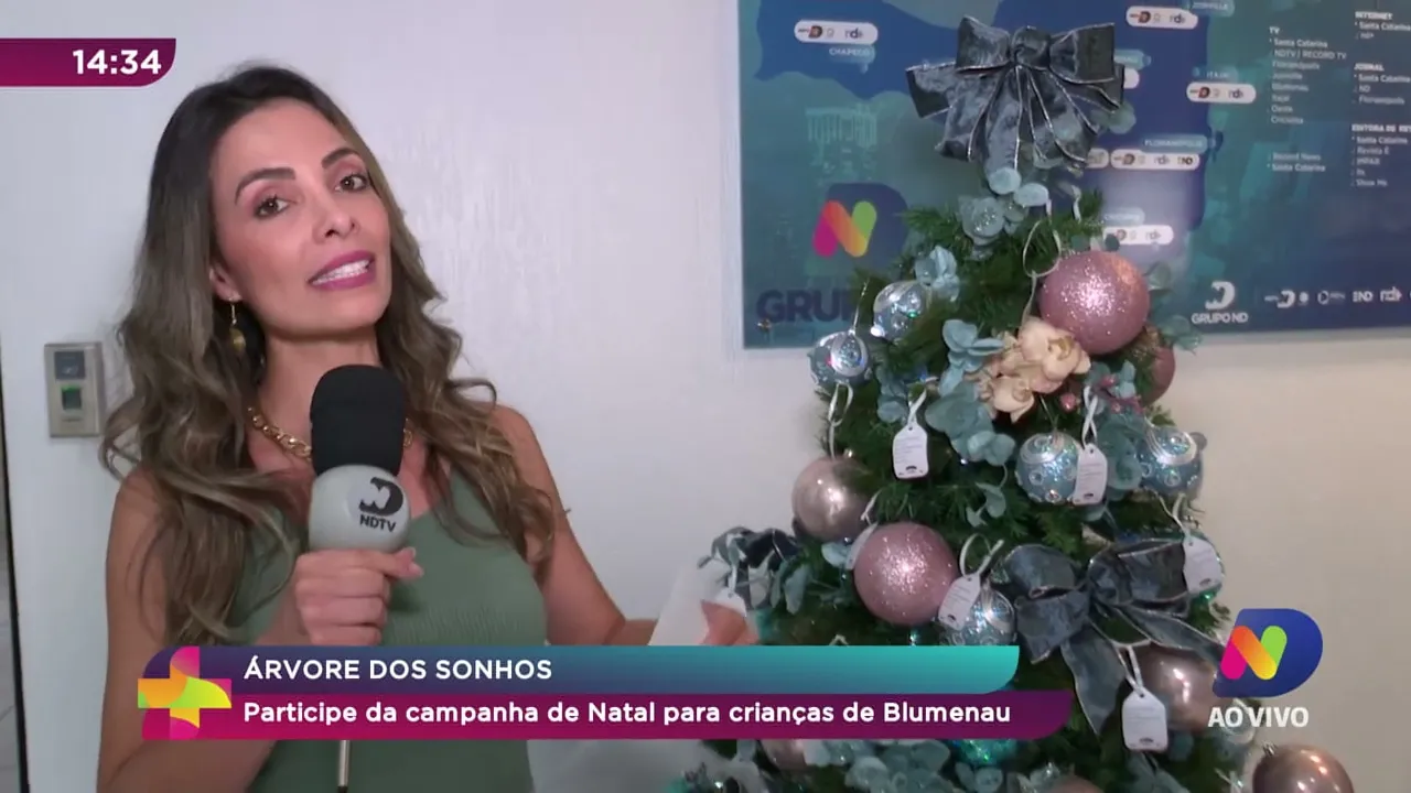 Árvore dos sonhos: participe da campanha de natal para crianças de Blumenau