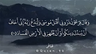 وقال فرعون ذروني أقتل موسى دندنها
