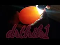 pulling and incubating burmese python eggs