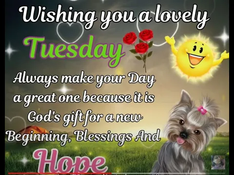 Download MP3 Good Morning Happy Tuesday Wishes,Good Morning Status,Happy Tuesday Greetings,Morning Blessings,Sms