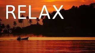 غابات الامازون اصوات الليل ساعة كاملة بدون موسيقى اصوات الطبيعة استرخاء دراسة تأمل نوم 