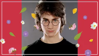 harry potter edit | harry edits