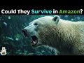 What If Polar Bears Were Introduced Into The Amazonian Rainforest
