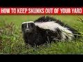 How To Keep Skunks Off Your Yard - Quick Easy