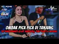 Download Lagu DJ OMBAK PICA PICA DI TANJUNG BREAKBEAT FULL MELODY TERBARU 2025