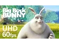 Big Buck Bunny 60fps 4K - Blender Foundation Short Film