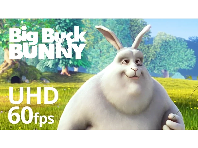 background images
