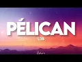 L2B - Pélican (paroles tiktok) | je prends mon envol comme un petit pélican ah je fous le camp