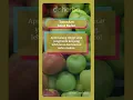 Download Lagu 5 Manfaat Apel Malang, Tidak Kalah Bergizi dari Apel Merah