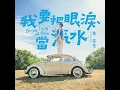 我要把眼淚當汽水 - 魏嘉瑩
