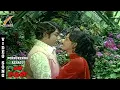 Lagu Ponnukkenna Azhagu Video Song - En Magan | Sivaji Ganesan | Manjula | T.M.S | P. Susheela | AKMusic