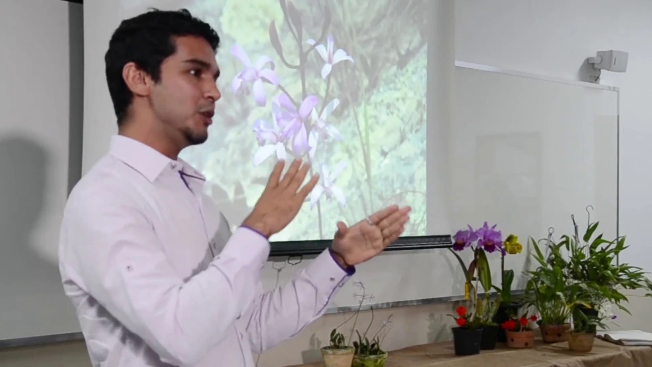 ORQUÍDEAS DE MINAS GERAIS COM REGINALDO VASCONCELOS