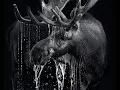 Basic Post-processing Workflow