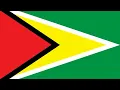 Terry Gajraj - Guyana Baboo