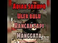 Download Lagu stroy wa nyindir mantan bahasa padang