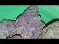purple watermelon haupia weed strain