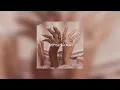 Download Lagu siti badriah - suamiku kawin lagi (slowed + reverb)