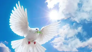 تواشيح قبل صلاه الفجر الشيخ سيد النقشبندي دندنها