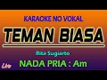 Download Lagu KARAOKE TEMAN BIASA  RITA SUGIARTO  ( NADA PRIA )