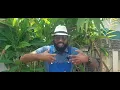 Download Lagu Samnuel Kuik Deze video is niet bestemd voor de Ndp, En gaat in op Minister Misiekaba 