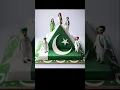 Download Lagu Pakistan Cake Ideas Pakistan Independence Day#shorts#shortsvideo#viralshorts#javeria's lifestyle