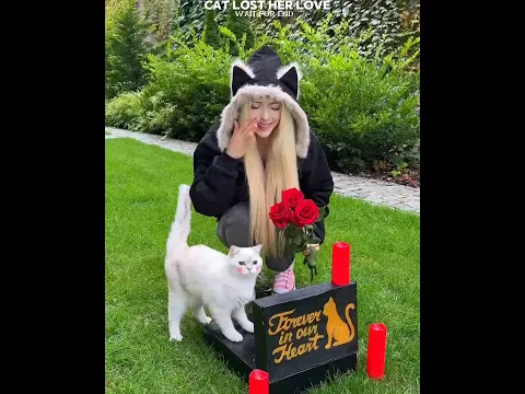 Cat Lost Her Love 😢Cat Sad Story 💔 ||#shorts #catlovers #petlovers #cute #emotional